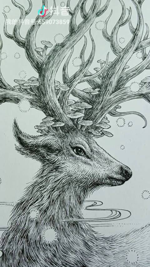 新作完成咯～《云中鹿》尺寸a3 ,针管笔手绘