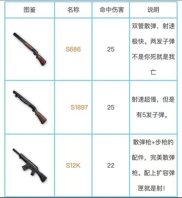 绝地求生:最牛枪支排名,有这2把枪进决赛圈稳吃鸡