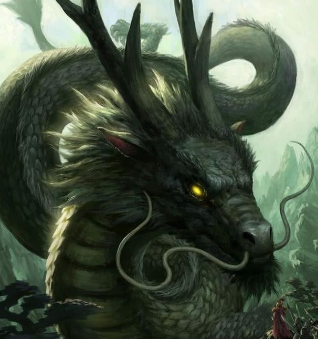 中国先秦一古籍记载了古人养龙之法龙或许真的存在过