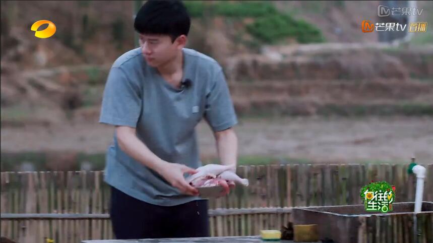 张杰,土不可怕,但懒就是你的不对了