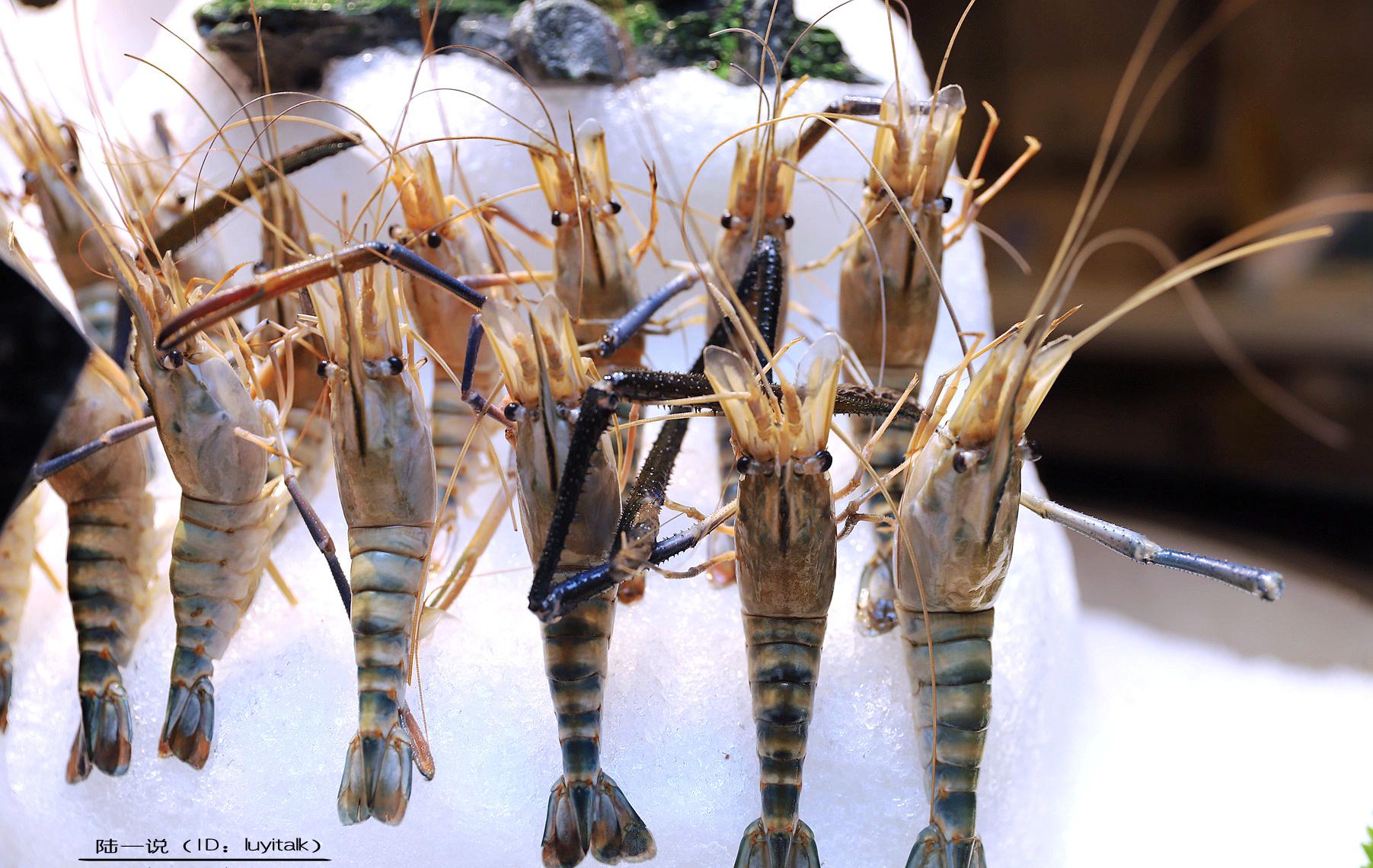 5280元吃出上海40万天价账单水准,厦门这家高端海鲜,超值