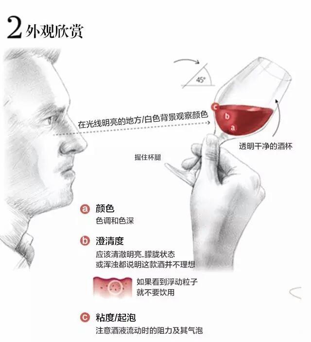 简单几张图,教你学会品尝葡萄酒