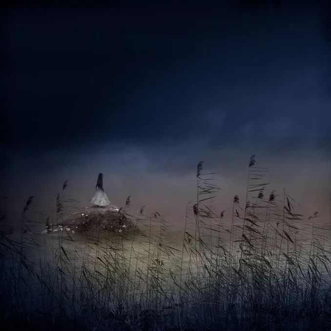 孤独,是最好的修行:读懂十种隐于诗词里的最深孤独|意境|孤雁|孤舟