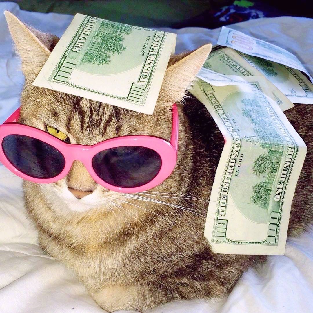 3s内点赞这组土豪喵下周你将得到一笔意外之财