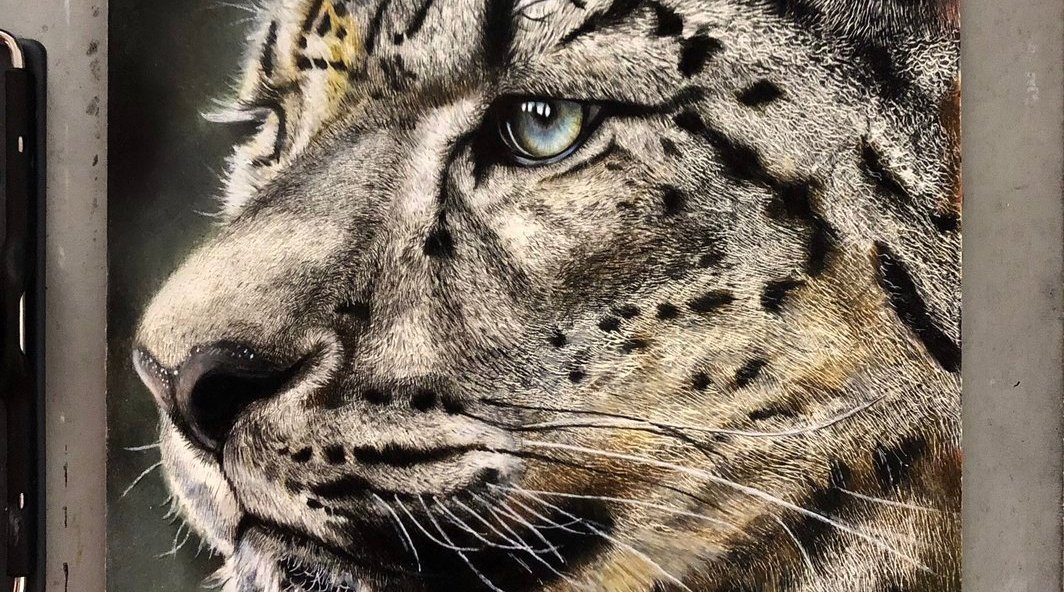 最近在日推上很火的用彩色铅笔绘制老虎的作画过程