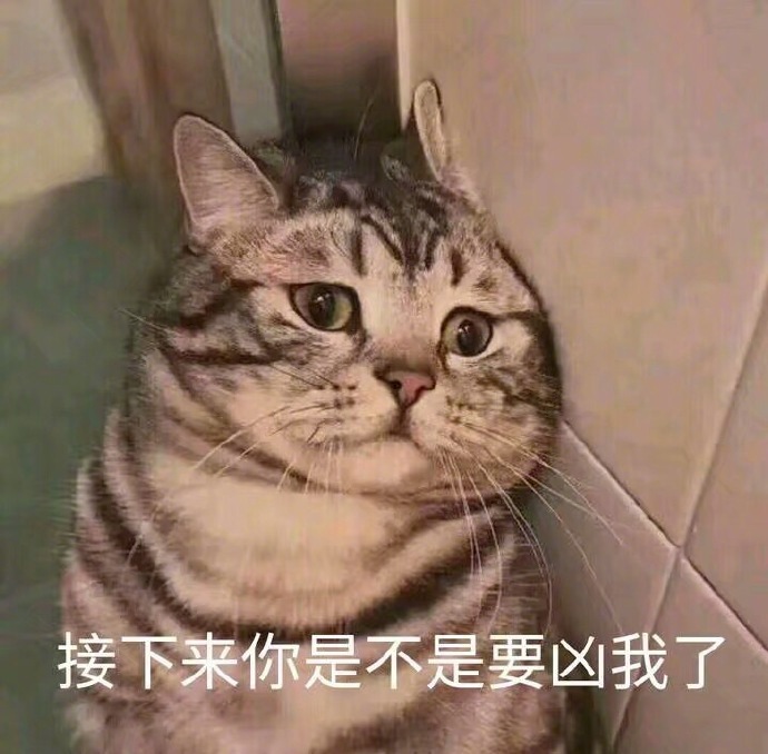 一组萌萌的猫咪表情包点赞吸个猫吧