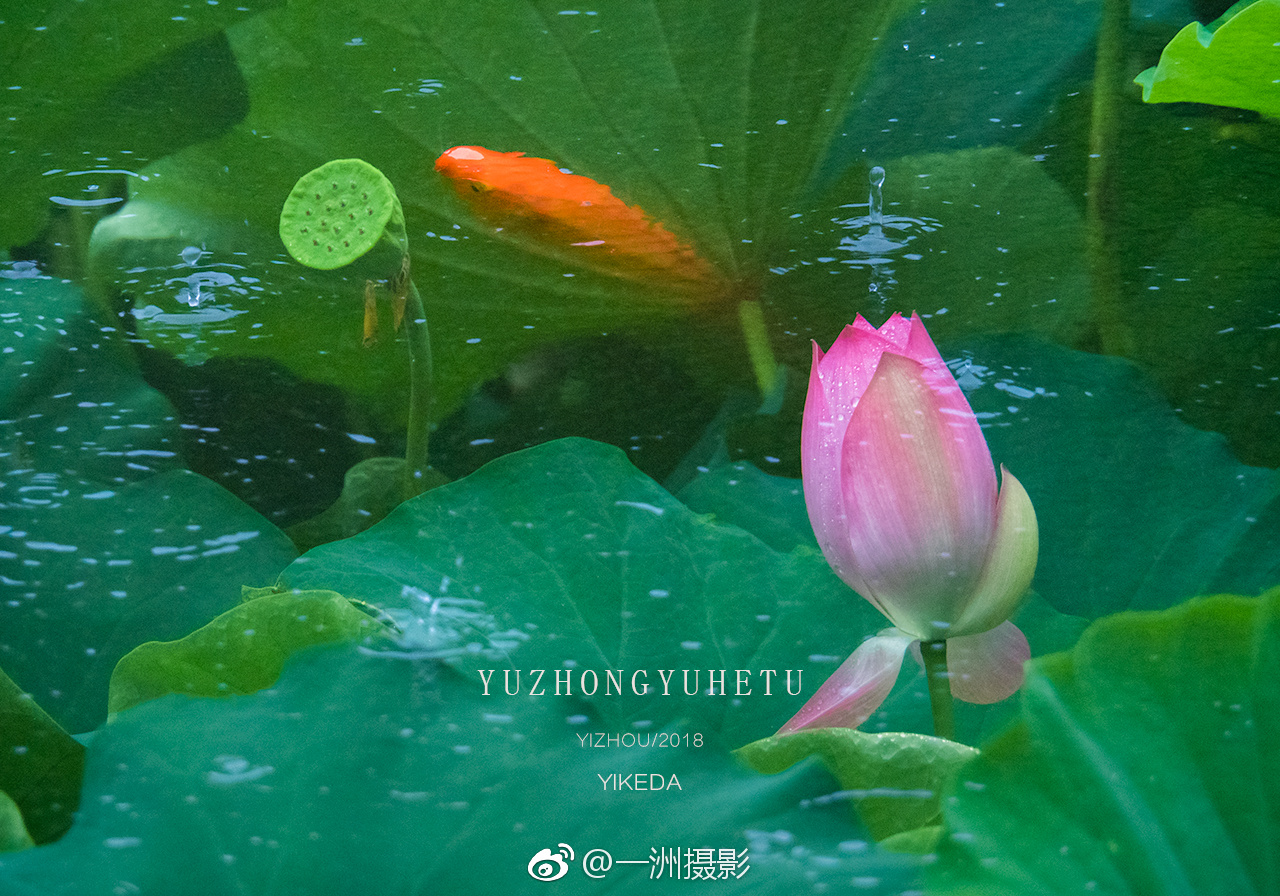 马山为爱攀登2018中国—东盟山地户外体育旅游大会启动