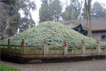 诸葛亮的墓至今无人知在何处,但诸葛瑾的墓如今却成了此番模样