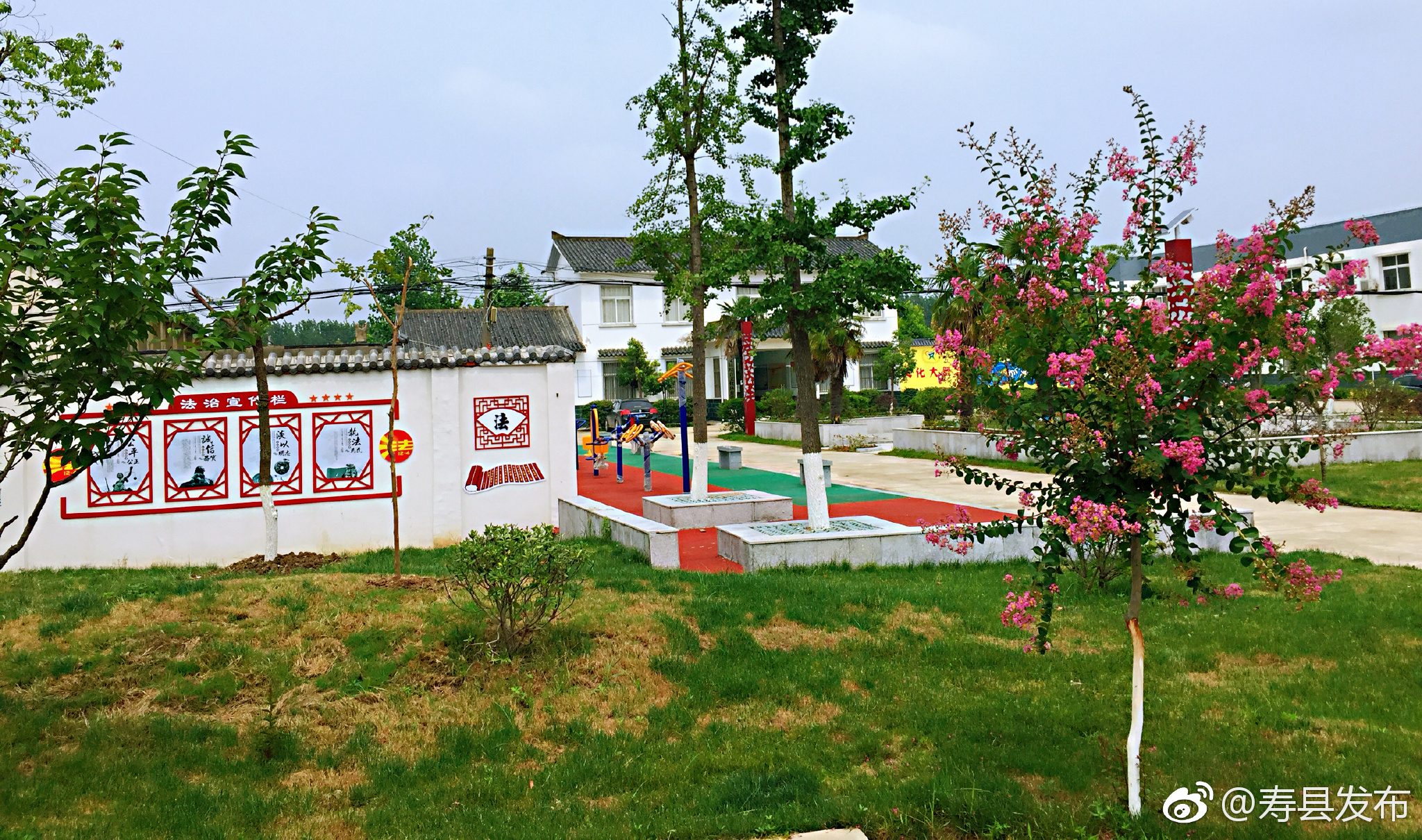 寿春镇积极开展健康家庭创建活动