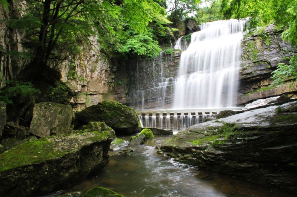 中国首批森林氧吧,一个蝴蝶能飞进房间的地方:汉中黎坪风景区