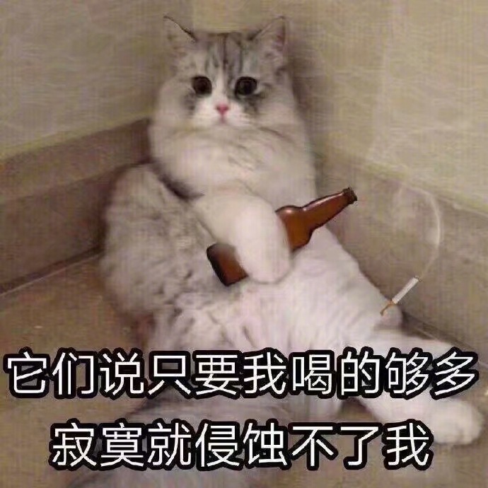 一组萌萌的猫咪表情包点赞吸个猫吧