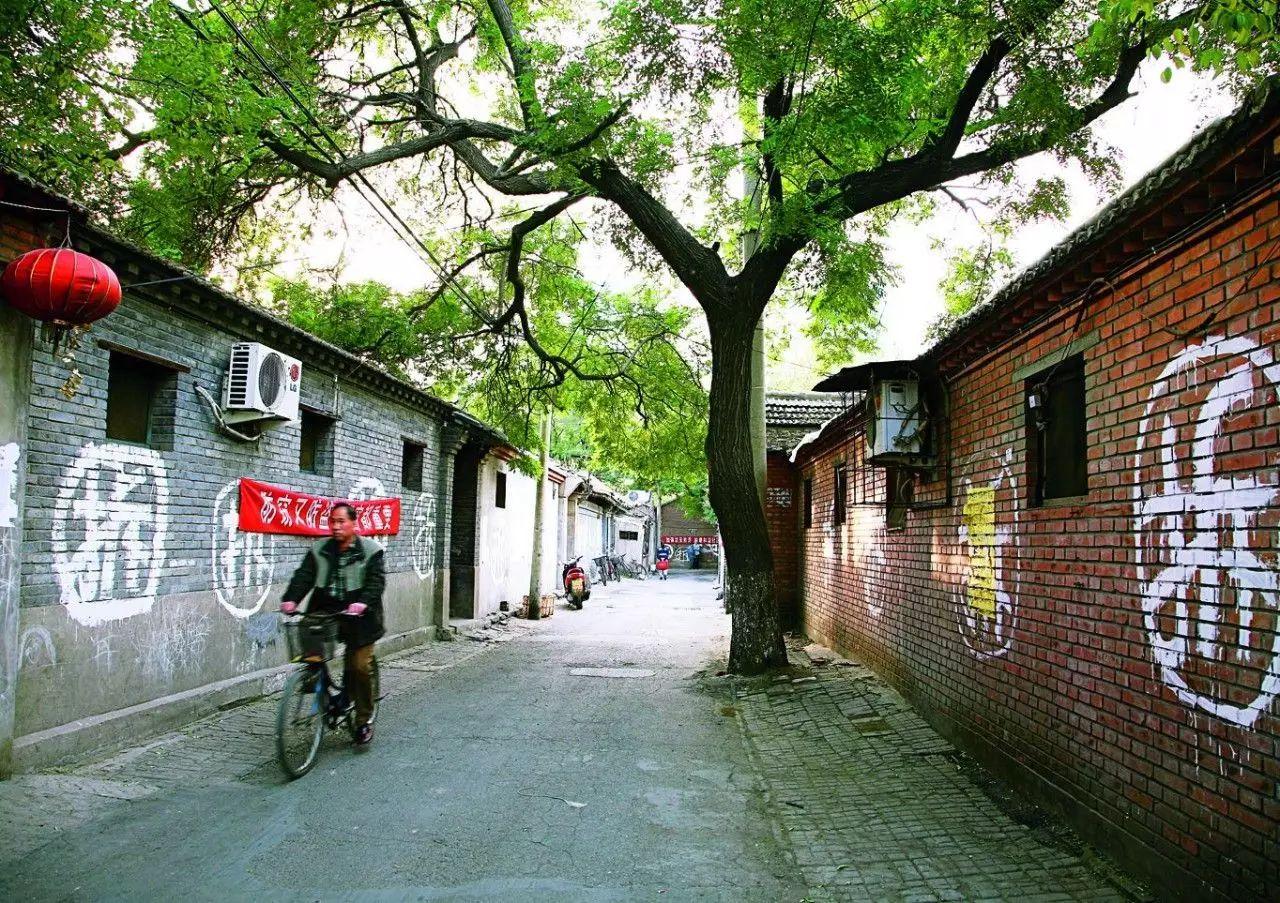 北方的胡同,南方的弄堂:你童年住的房子今天还在吗?