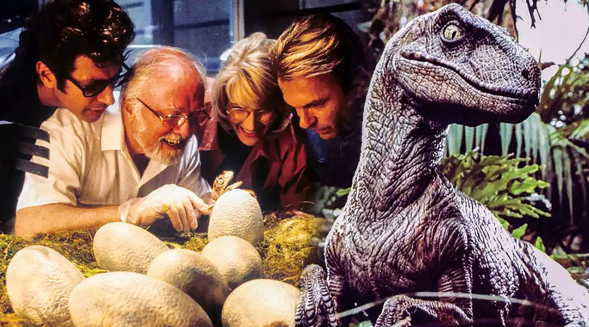 如何复活恐龙?让你大开眼界!