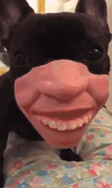 这图有毒,太魔性了,看了停不下来.