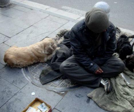 年轻男子没有正经工作,却靠一只流浪狗为自己赚钱,日入百元!