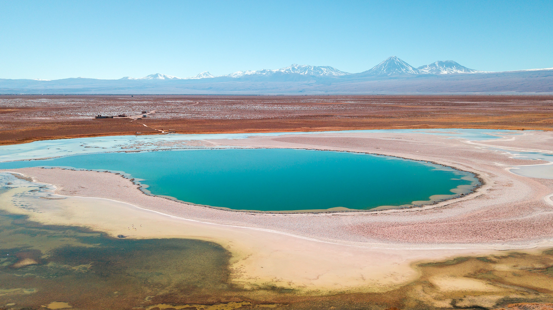 atacama阿塔卡马沙漠南美jesseechevarria