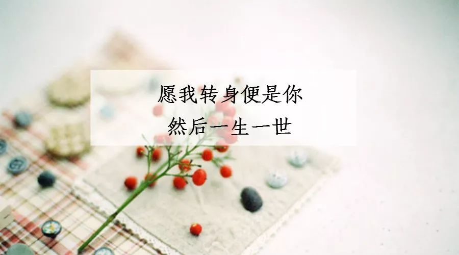对不起,我对你的想念,到此为止了
