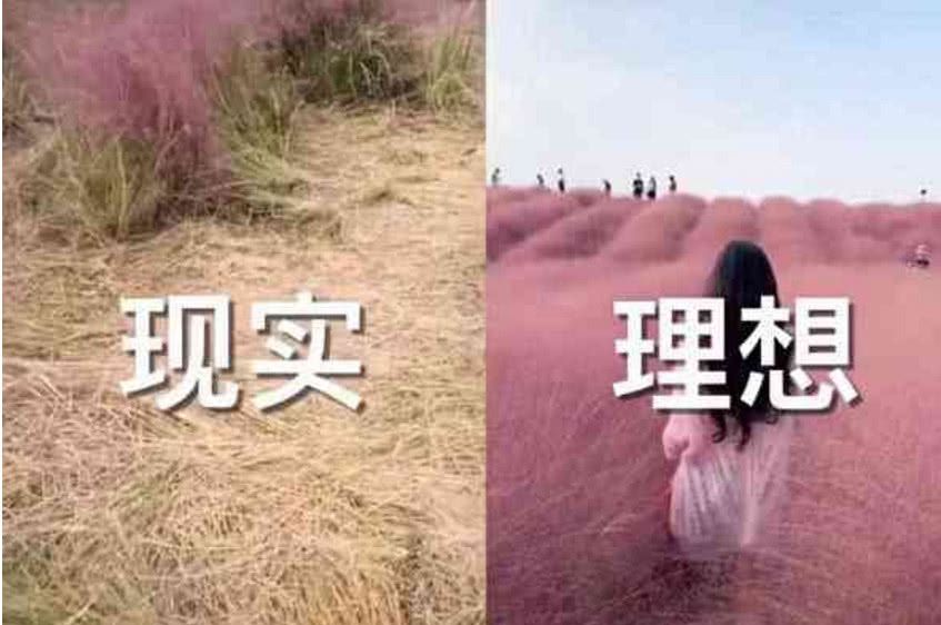 又一网红地惨死抖音,看到现实的一幕后,网友:果然现实太残酷了