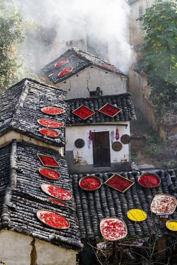 最爱的还是这人间烟火