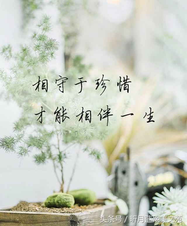 有一种无奈,叫爱不能言|因为爱|红尘|泪溢_新浪新闻