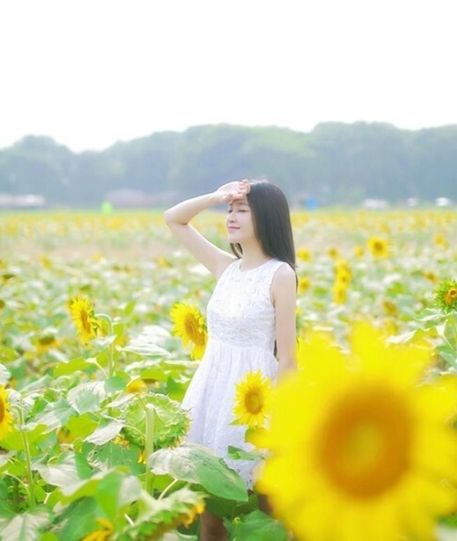 人像摄影:白色短裙美女向日葵花海摆拍脸蛋清秀,非常的美丽迷人