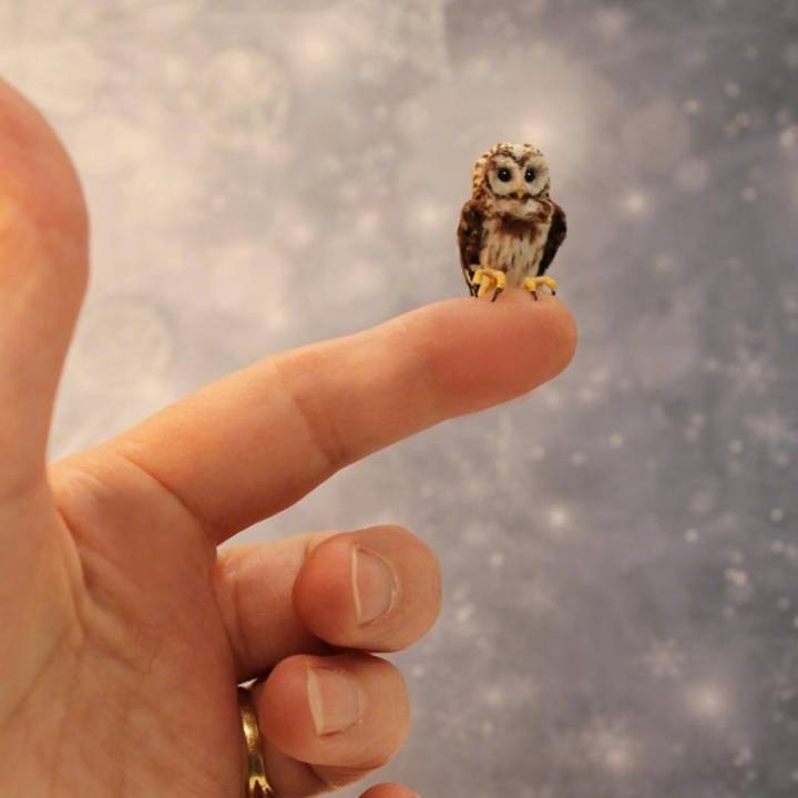 丹麦艺术家 katie doka 手工制作的微型小动物.▼