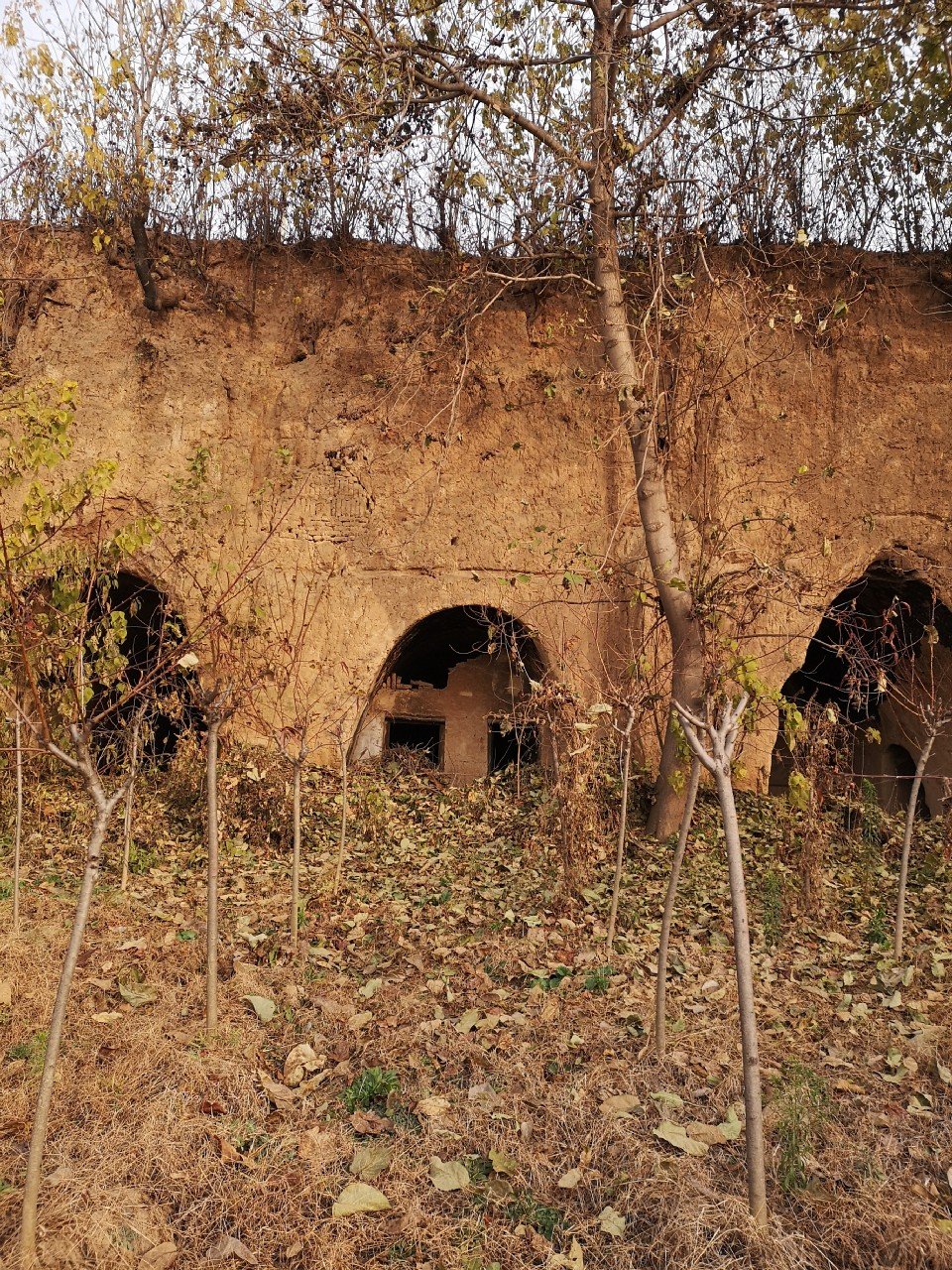 杨凌王上村,四十年居住环境的变化