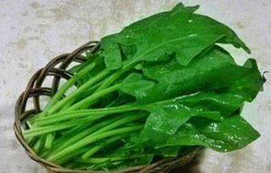 哪类绿叶蔬菜有营养 绿叶蔬菜狡狡者