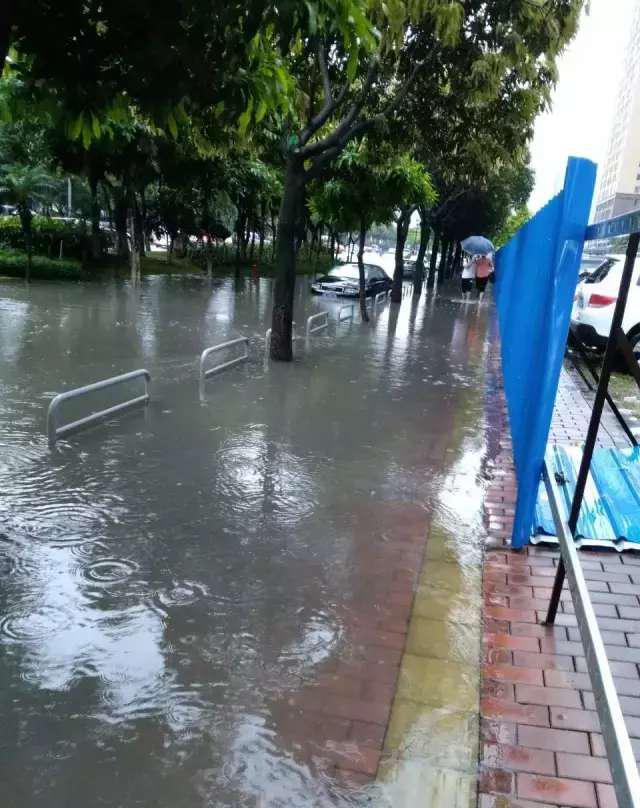 暴雨夜袭广东 佛山瞬间成了威尼斯水城!