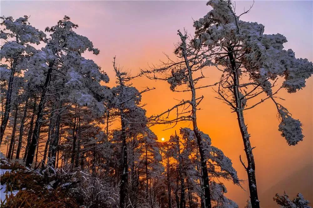 南岭国家森林公园下雪图片