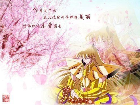 圣斗士|沙加|雅典娜_新浪新闻