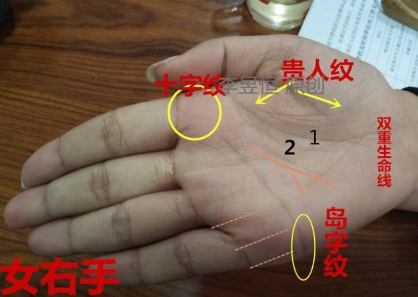 67手相玉阶纹在手财运丰隆希望线福星高照67