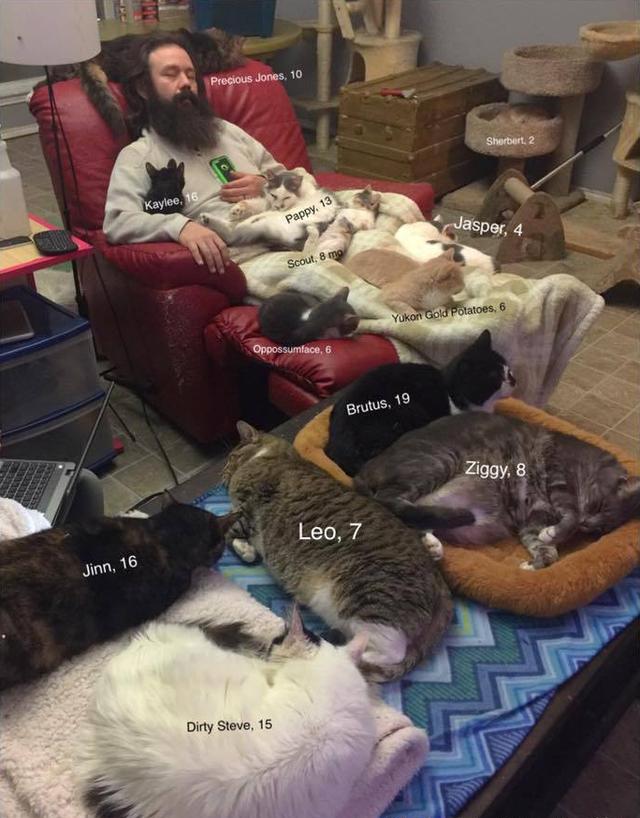 他是创办流浪猫咪收容之家的男子,这是他被喵星人包围的日常