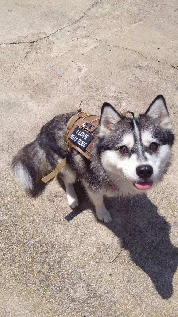 是想用这些奇葩照片笑死我吗?在哪拍的