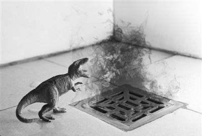 卫生间总是返臭气