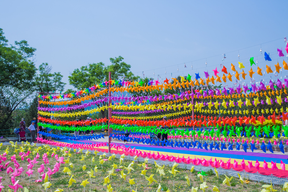 北京遇上阿姆斯特丹 蟒山风车节走一圈