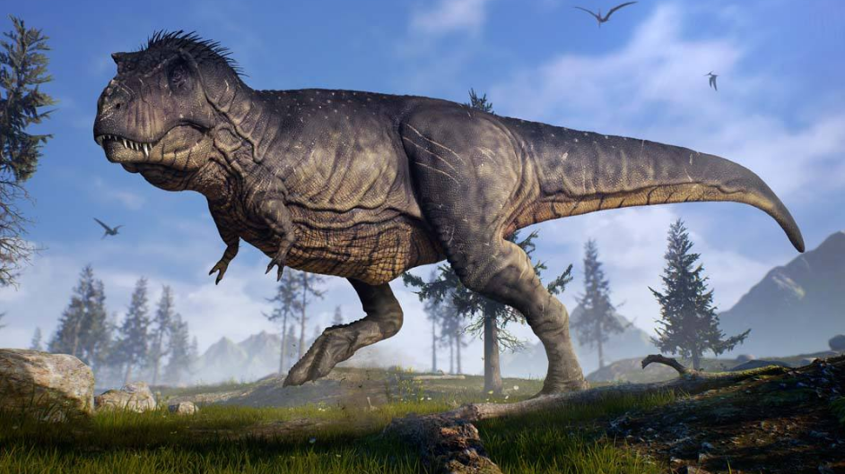 霸王龙胸前长的两只小手,到底是干嘛用的?今天可算知道了