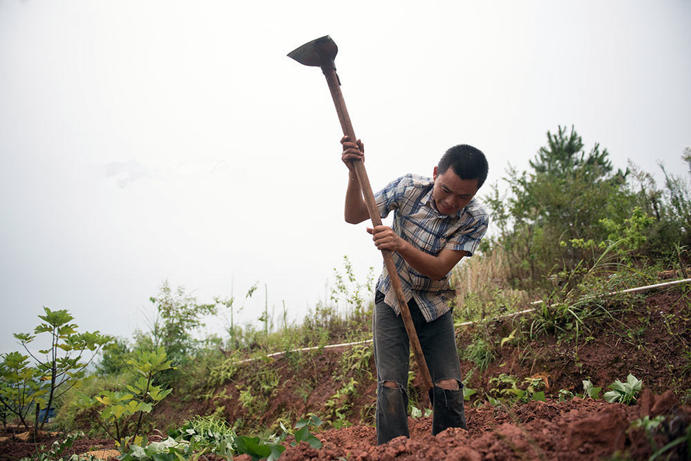 男子辞去月薪上万的工作回家种田,只为将家乡发展的更好