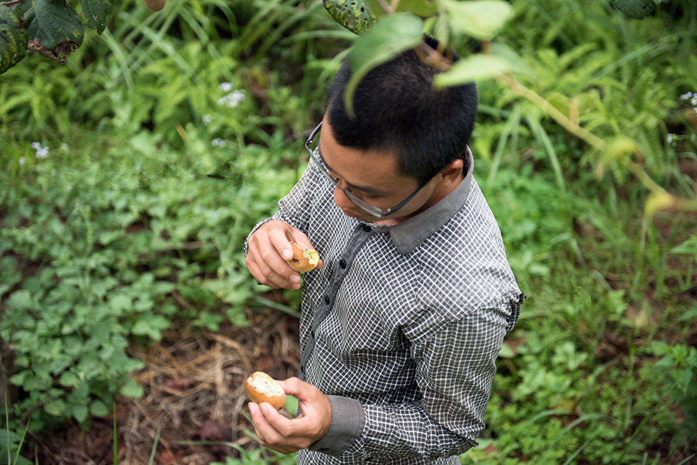 男子辞去月薪上万的工作回家种田,只为将家乡发展的更好