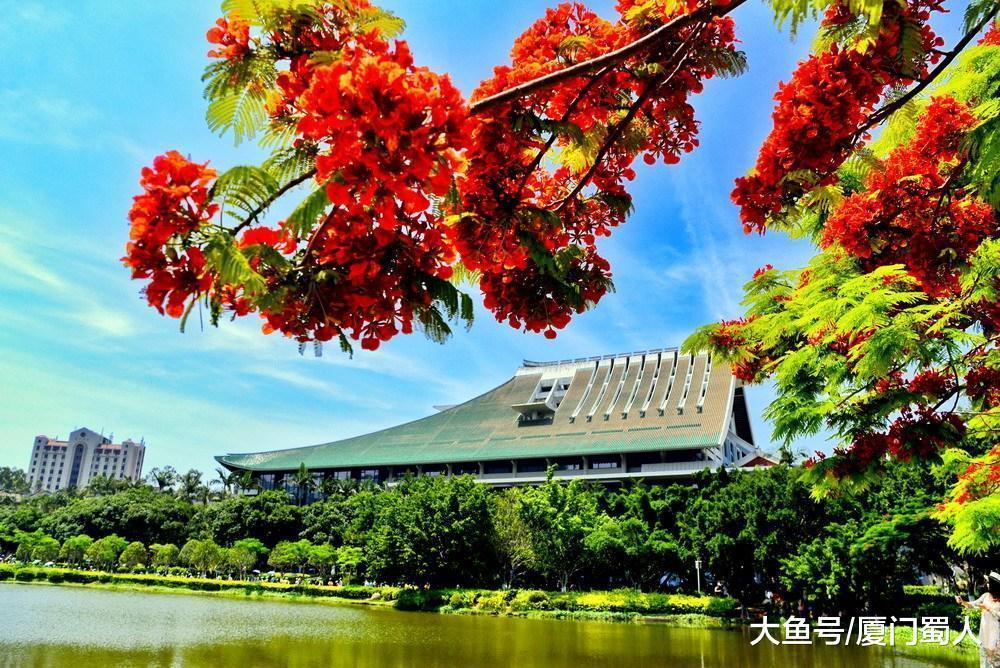 没了凤凰花的厦门大学毕业季最美校园成火爆景点