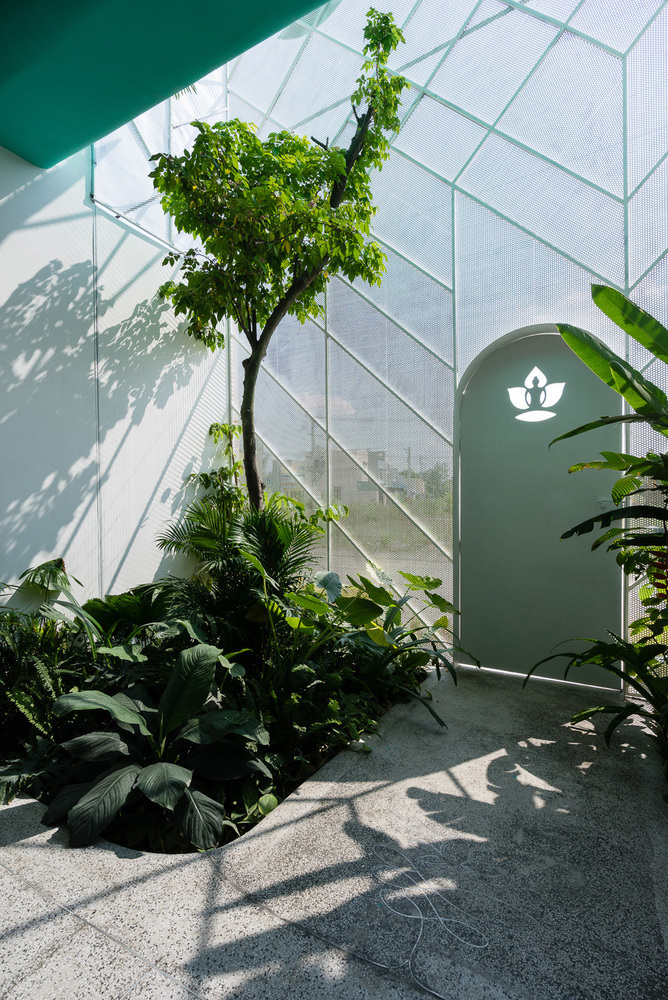 建筑空间里的植物_新浪看点