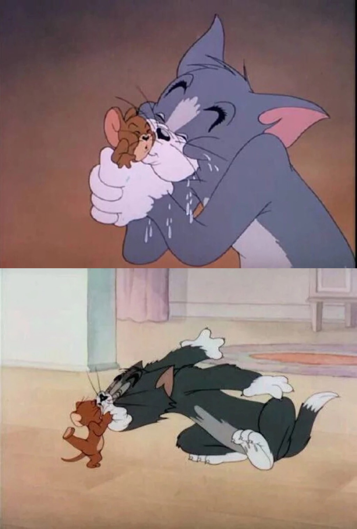 猫鼠cp属于童年的记忆