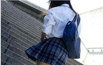 seo系统算法w3c网站架构