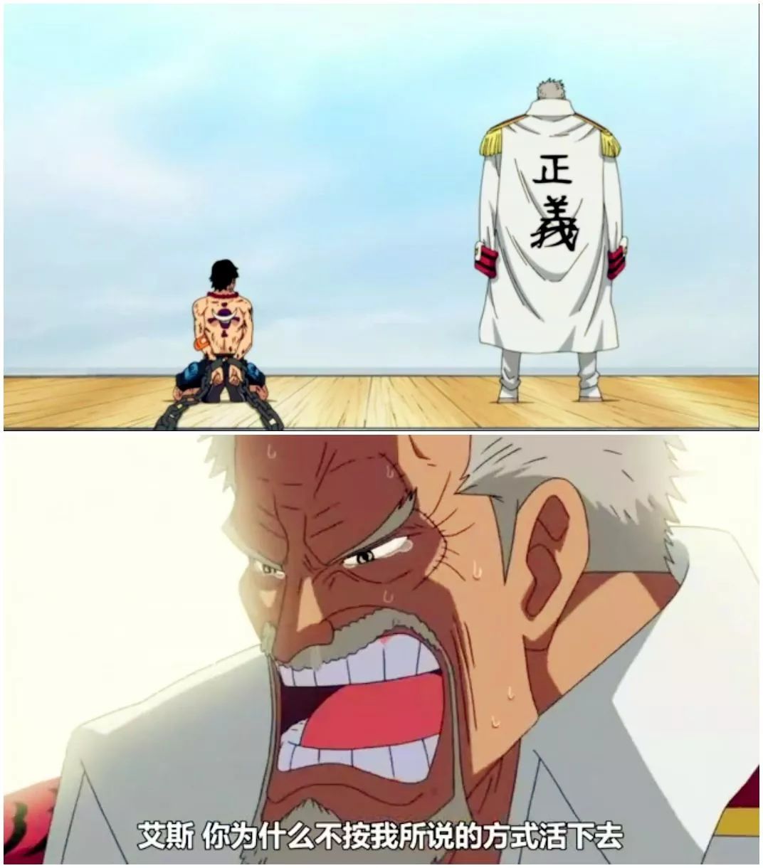 海贼王:卡普为何既是d之一族,又是海军英雄?他的身份细思极恐