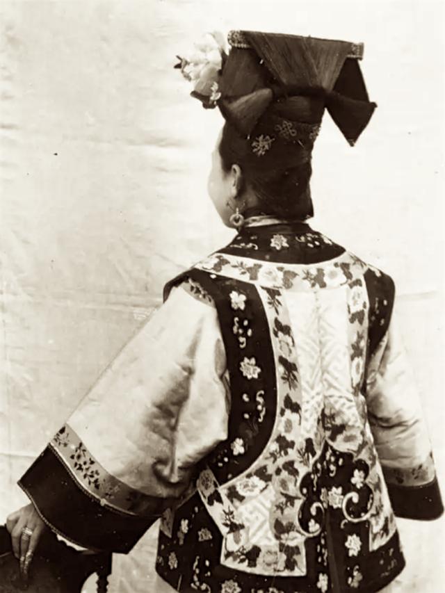 发上指冠( 发上指冠打一动物 ) - 富威教育知识