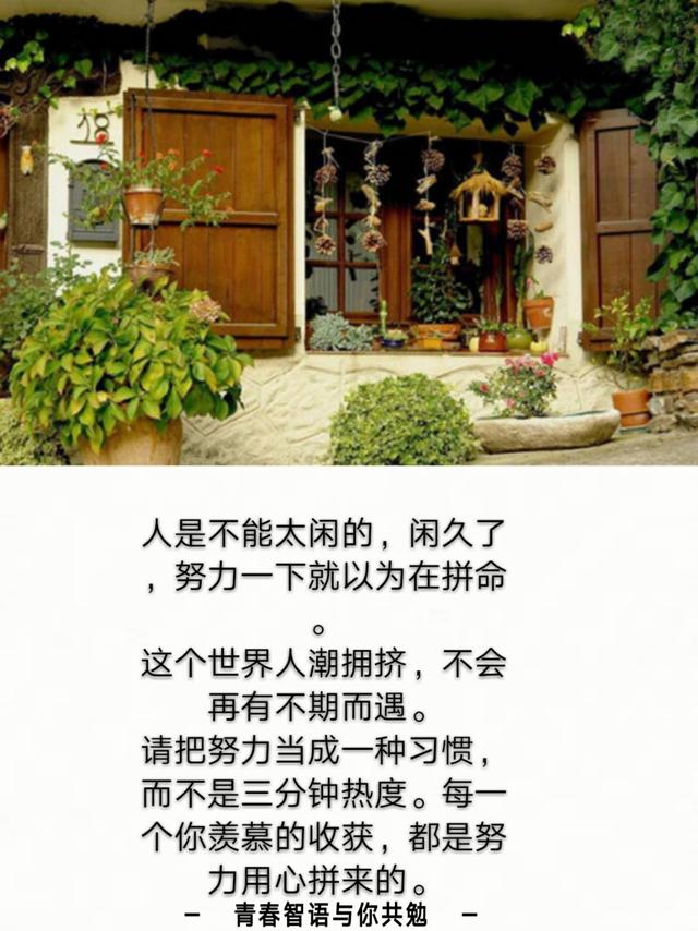 经典励志句子致走在路上的自己有深度
