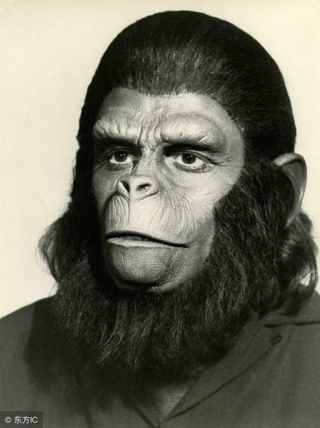 感知会让人做出补救,当感觉到冷时,人类知道用树叶或兽皮裹住身体御寒