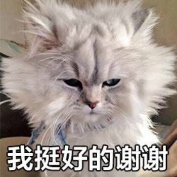 我不管这句话很危险啊