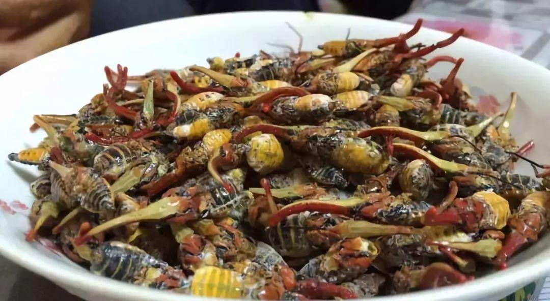 江门常见的龙眼鸡如今卖到300元一碟你敢吃吗