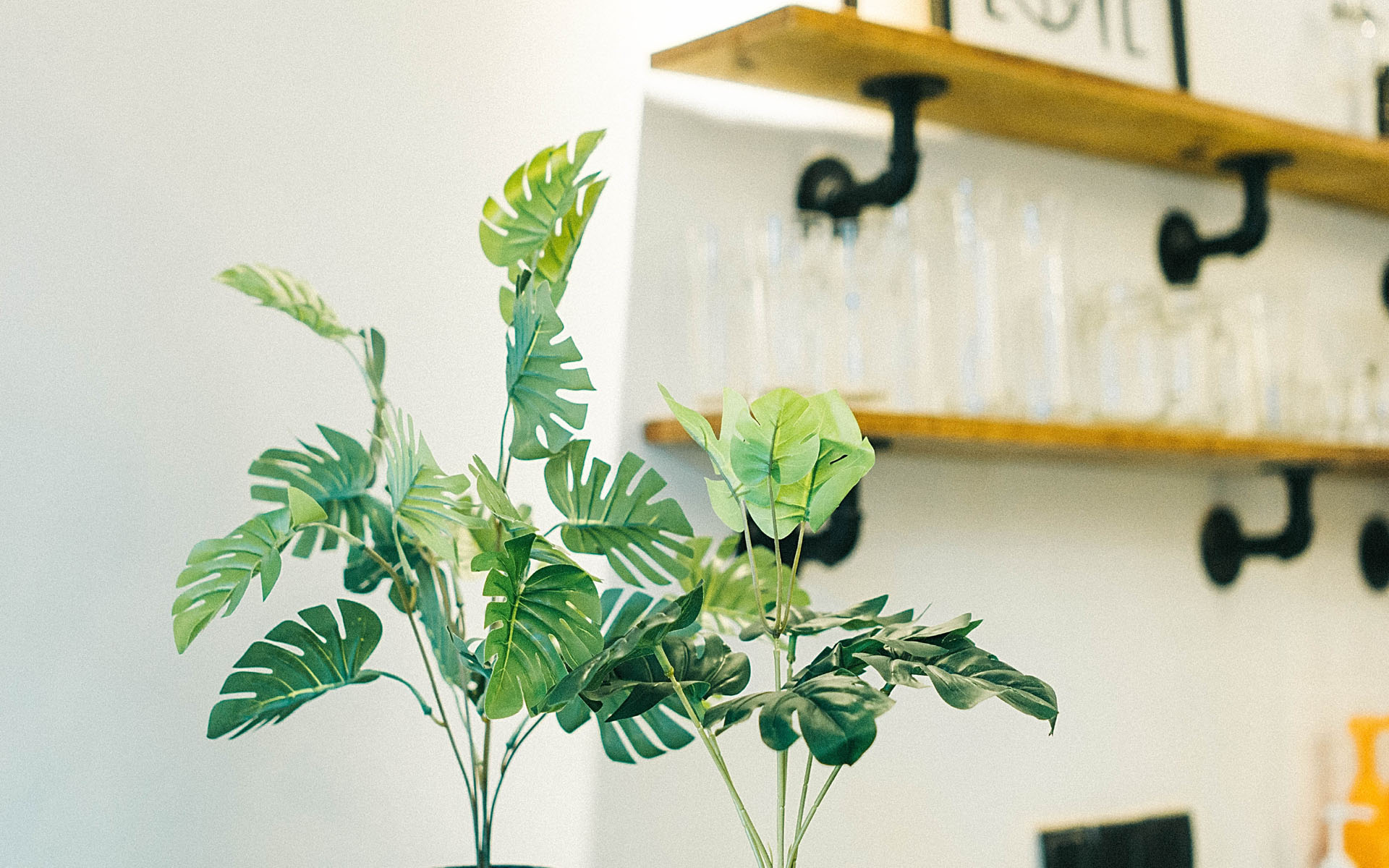 那个男士很优秀,对她很好,就像兄长一样的照顾,因为从小跟着妈妈长大